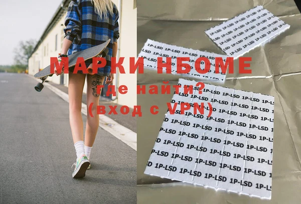 индика Баксан