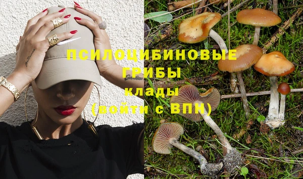 индика Баксан