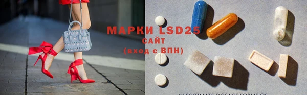 индика Баксан