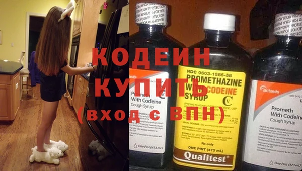 индика Баксан