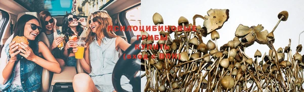spice Балабаново