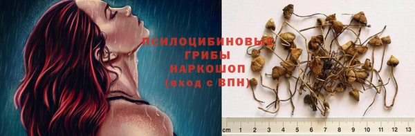 молекула духа Балахна