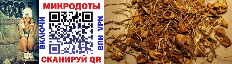 Псилоцибиновые грибы MAGIC MUSHROOMS  Кумертау 